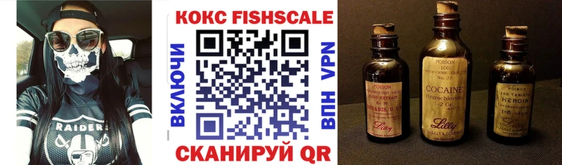 Cocaine FishScale  darknet телеграм  Звенигород 