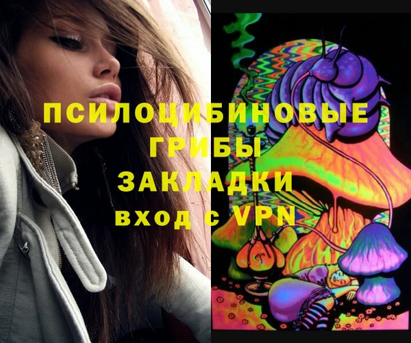 а пвп мука Осинники