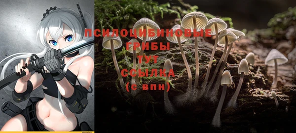 ешки Алзамай