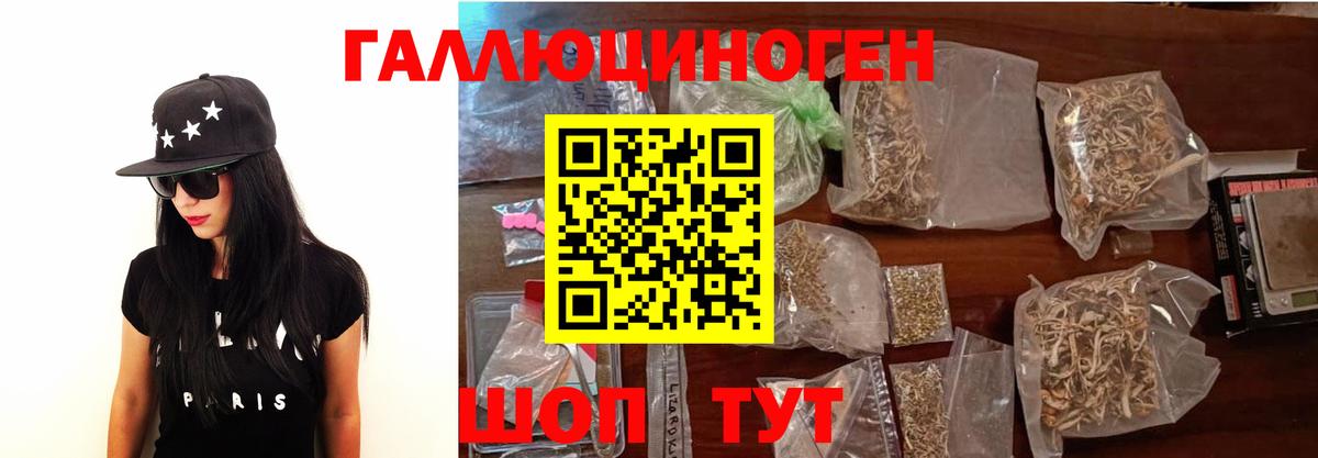 Псилоцибиновые грибы Cubensis  Вход с VPN  Звенигород 